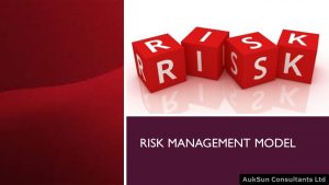 B.22 Risk Management Model